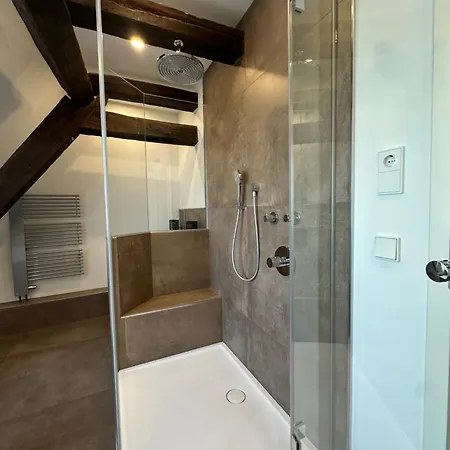 Villa Argenta Living - Luxushaus Am Dom Fulda